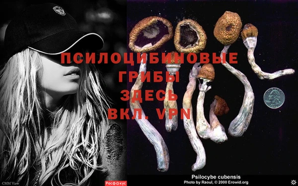 кокаин колумбия Инсар