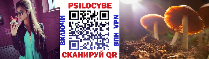 Псилоцибиновые грибы MAGIC MUSHROOMS  это Telegram  Набережные Челны 